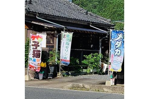 下宮典子ブリーダーの詳細